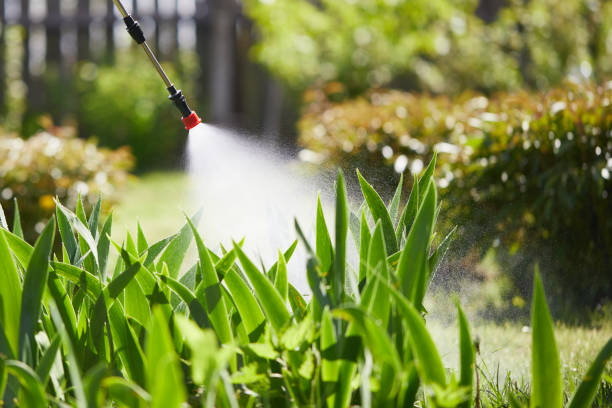 24/7 Emergency Mosquito Control experts in Pierceton, IN